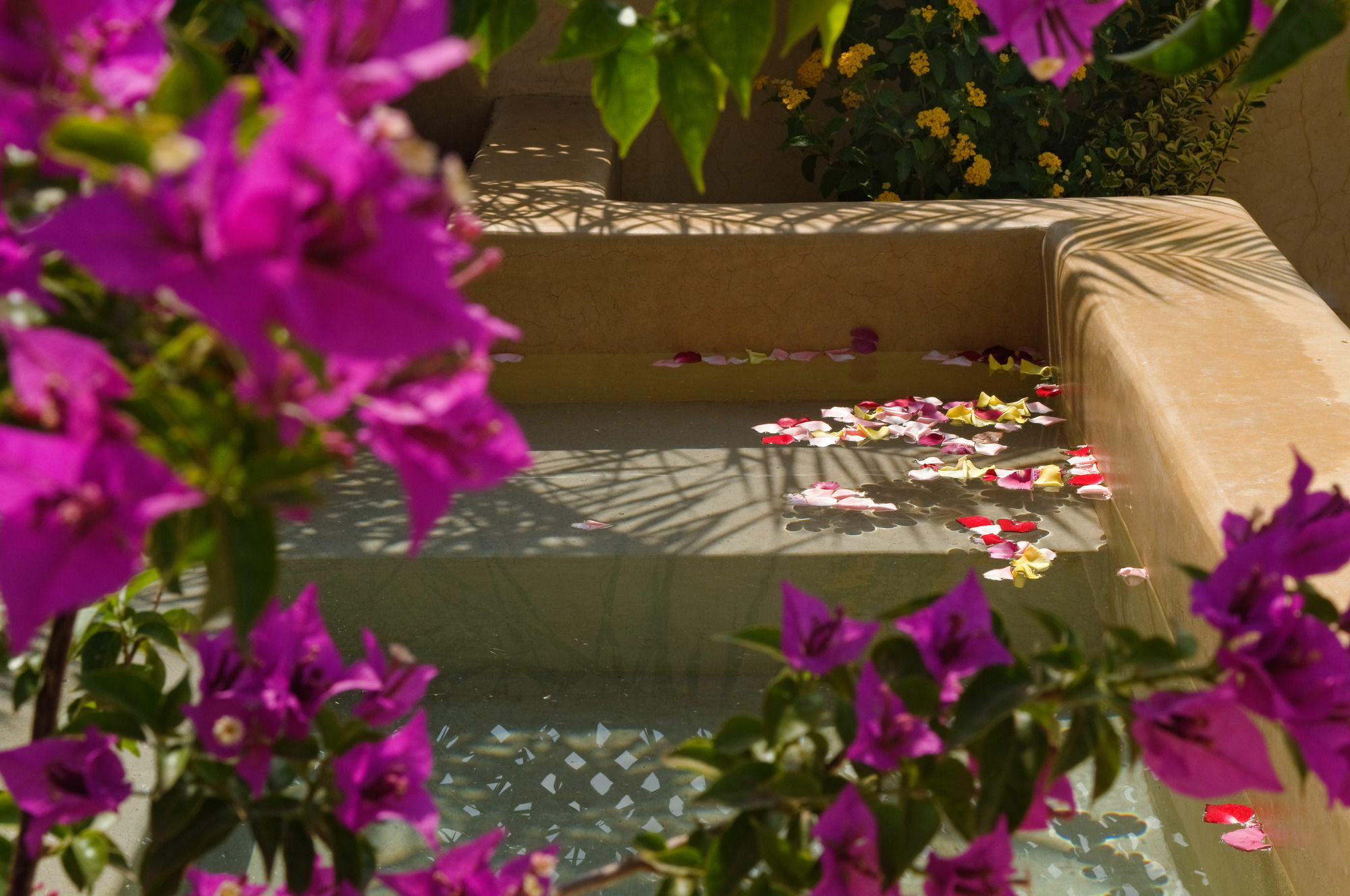 Riad Papillon By Marrakech Riad Марракеш Екстер'єр фото